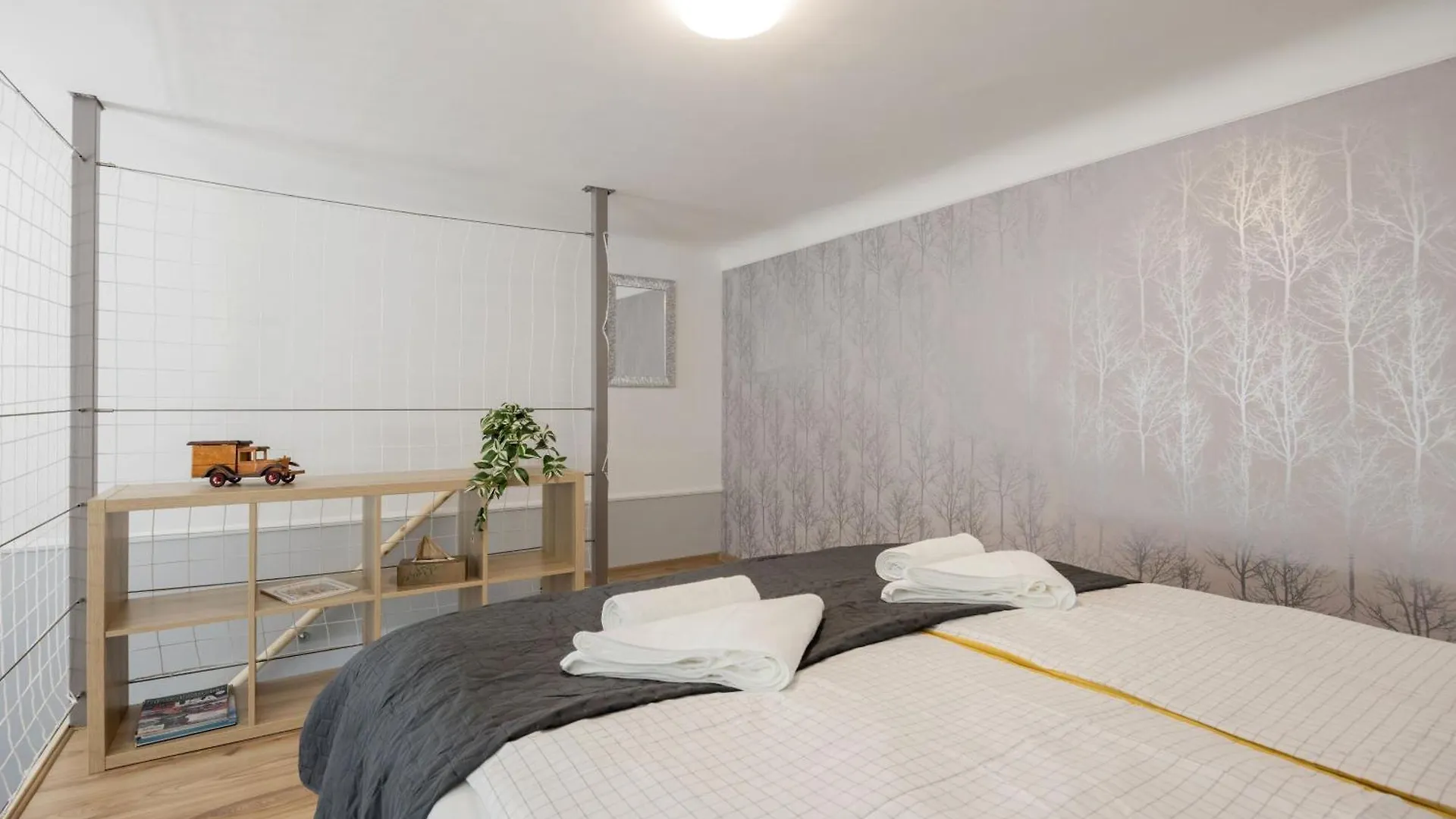 Spacious And Charming Apartment In The Centre Budapest Hungary